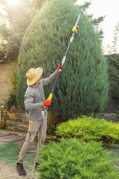 Reliable Westmont, IL Tree Removal and Landscaping Services Solutions